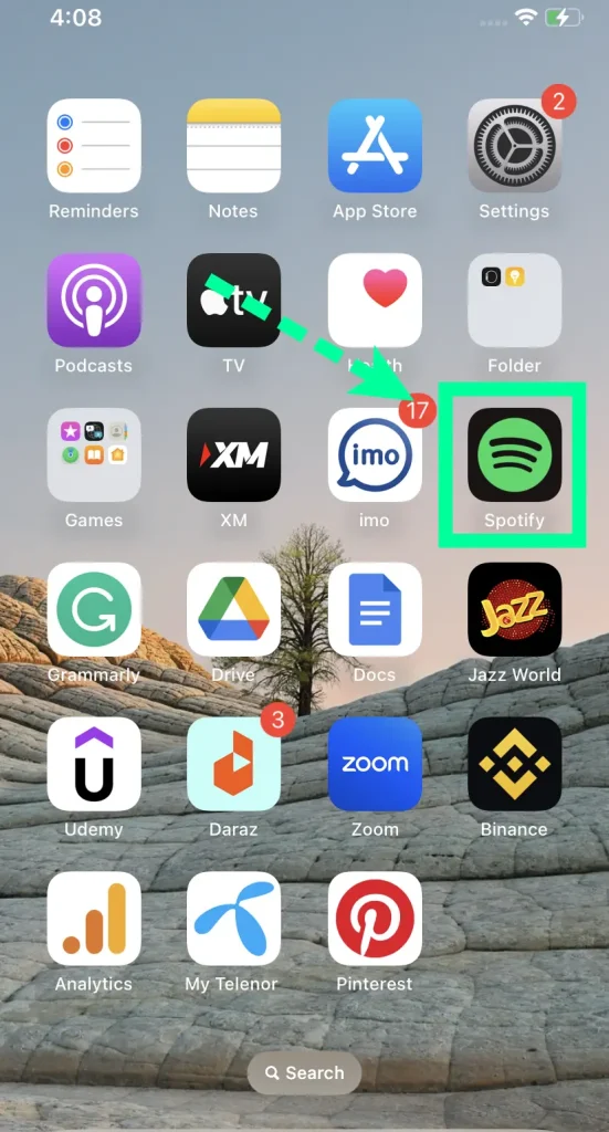 open Spotify Mobile App