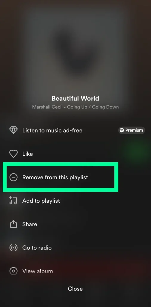 tap on remove from playlist
